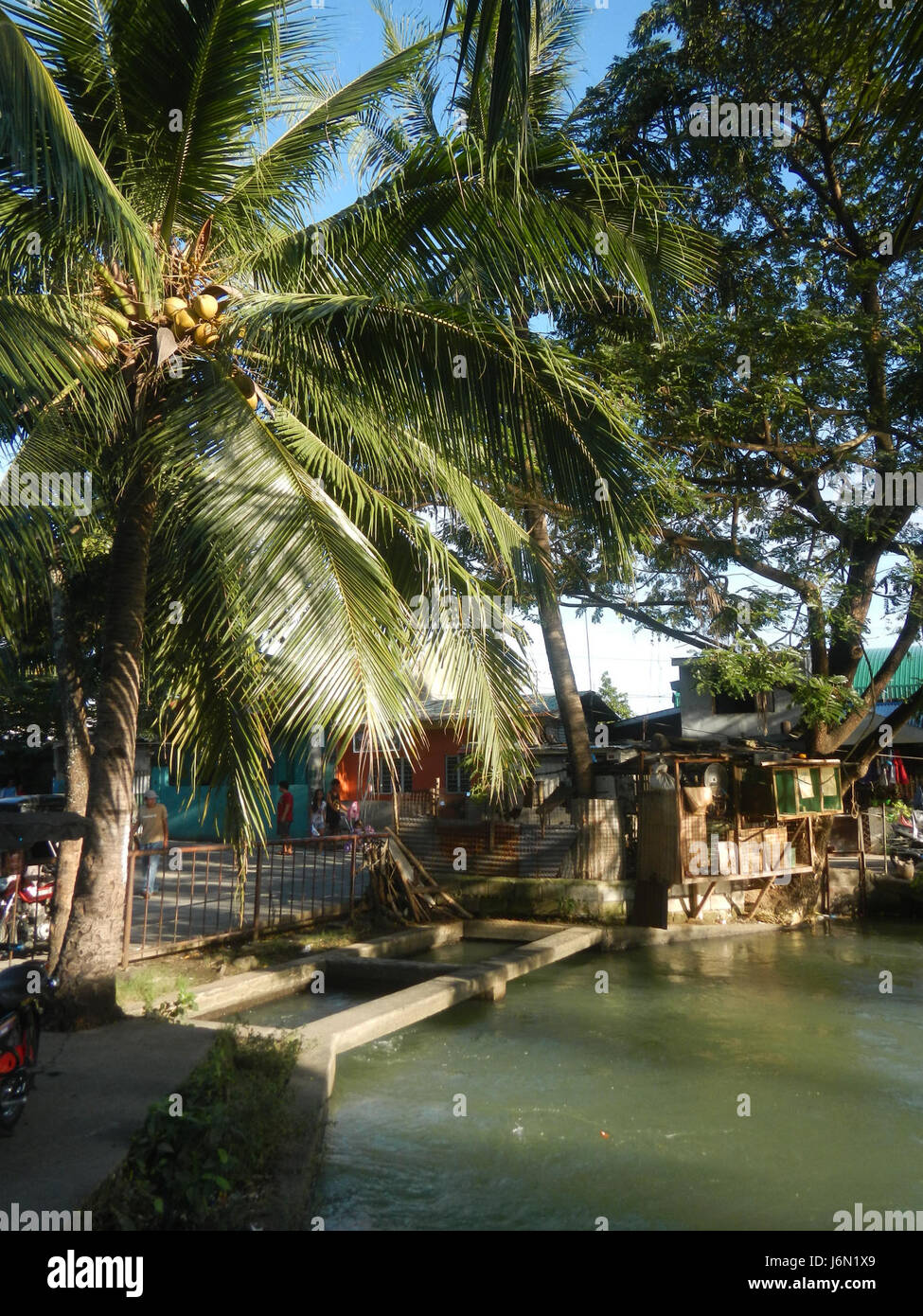 Questa immagine evidenzia le risaie e i sistemi di irrigazione di Bagong Nayon, Baliuag, Bulacan, Filippine. La scena presenta anche ponti stradali locali che facilitano il trasporto agricolo. Foto Stock