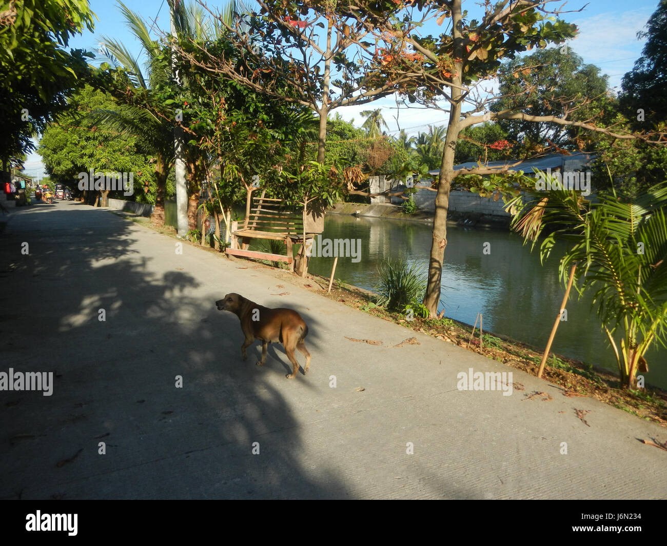 Un documento o una mappa che illustra in dettaglio il sistema di irrigazione delle risaie a Bagong Nayon, Baliuag, Bulacan, con particolare attenzione ai ponti stradali e alle infrastrutture cruciali per il sostegno agricolo nella regione. Foto Stock