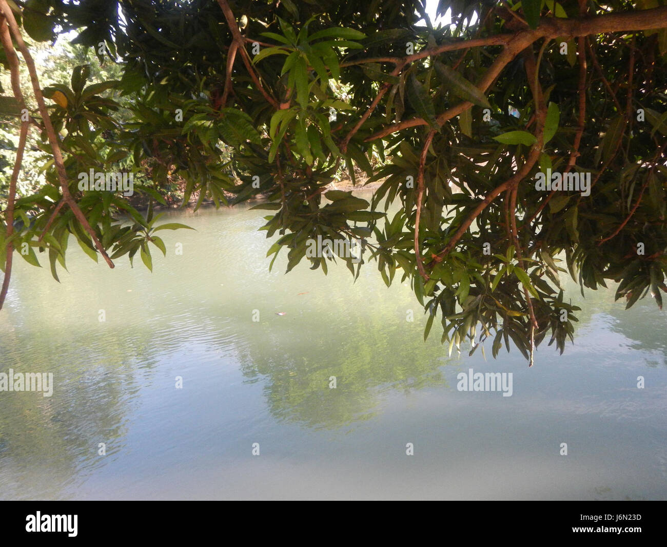 09518 risaie irrigazione Bagong Nayon Baliuag Bulacan ponti stradali 16 Foto Stock