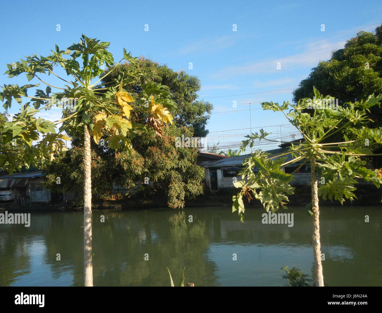 09518 risaie irrigazione Bagong Nayon Baliuag Bulacan ponti stradali 37 Foto Stock