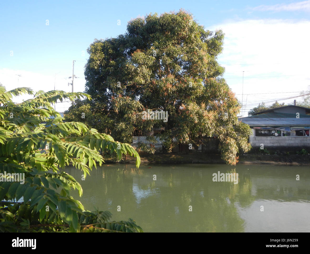 09588 risaie, praterie, alberi, case di irrigazione, Sabang Baliuag, Bulacan ponti stradali 04 Foto Stock