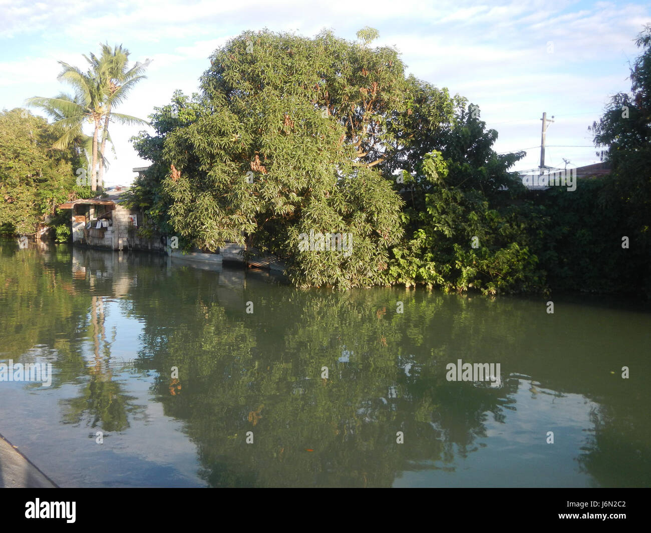 09771 risaie, praterie, alberi, case di irrigazione, Sabang Baliuag, Bulacan ponti stradali 04 Foto Stock