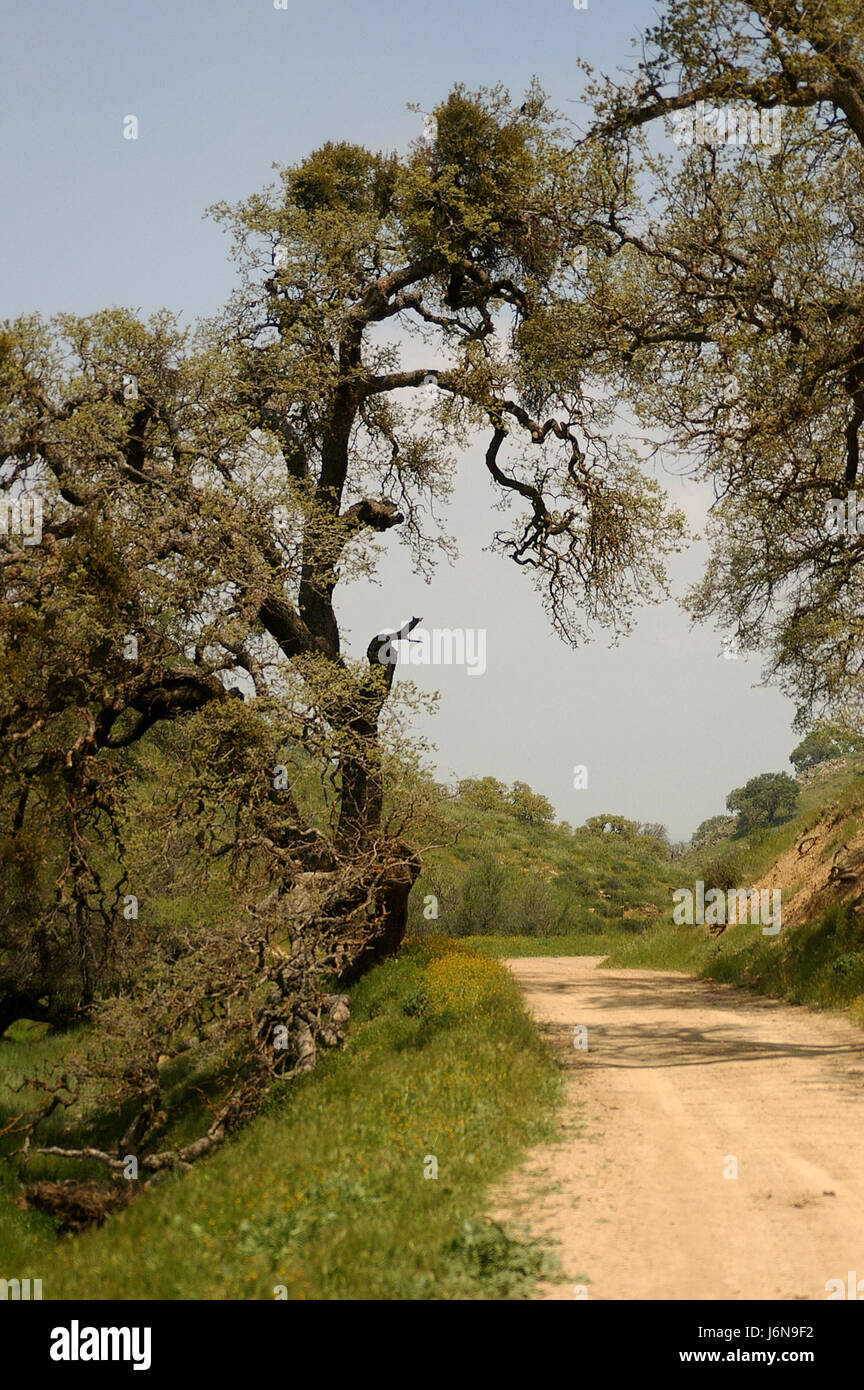 Questo titolo si riferisce a una località identificata come North Gate Road, con un codice numerico specifico associato ad essa. È probabile che indichi un indirizzo o un progetto infrastrutturale legato allo sviluppo di strade. Foto Stock
