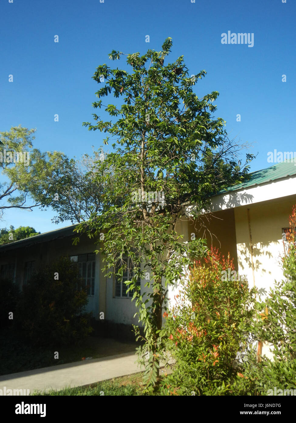 Alexis G. Santos National High School è un istituto educativo pubblico situato a Liciada, Bustos, Bulacan, che si concentra sull'istruzione di qualità e lo sviluppo locale. Foto Stock