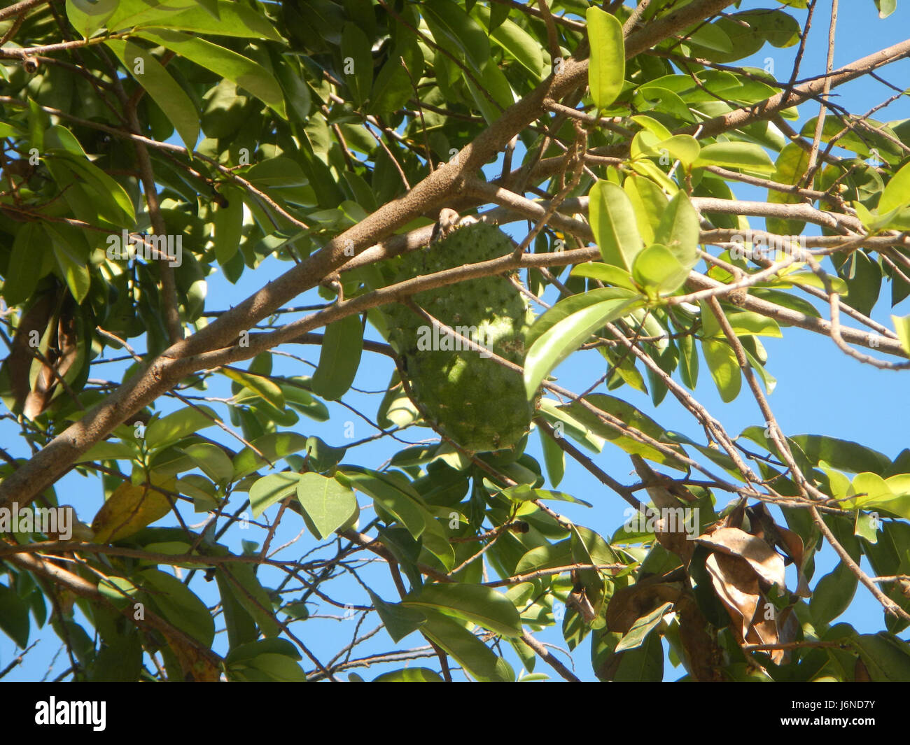 Questa immagine mostra Alexis G. Santos National High School di Liciada, Bustos, Bulacan, che mette in evidenza l'infrastruttura e l'ambiente educativo dell'schoolâ. Foto Stock