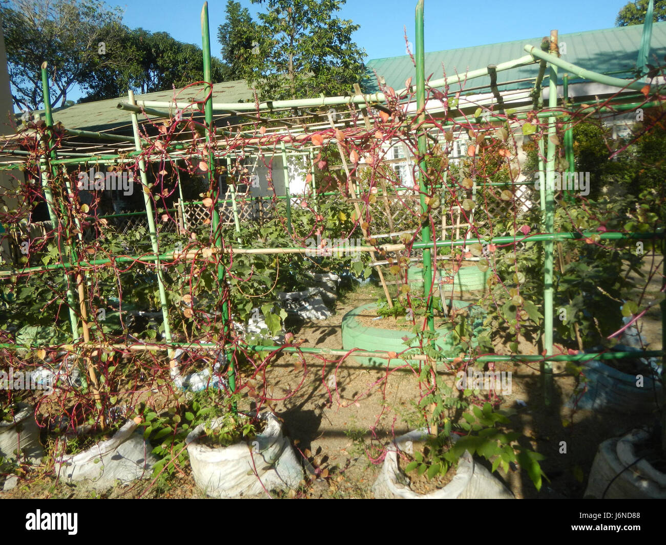 Questa fotografia mostra Alexis G. Santos National High School a Liciada, Bustos, Bulacan, Filippine. Mette in evidenza l'ambiente educativo della scuola e il suo ruolo nella comunità locale. Foto Stock