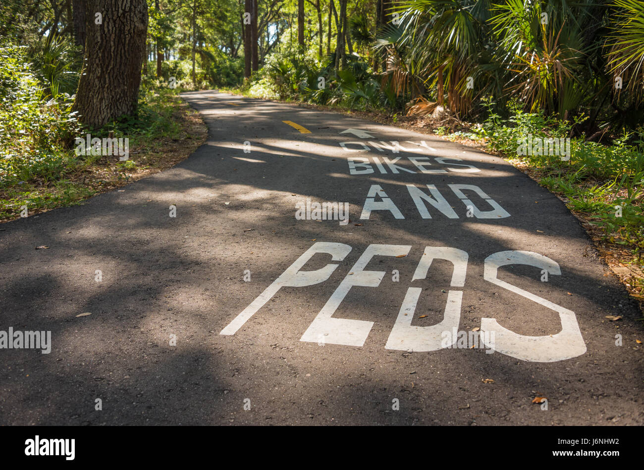 Pista ciclabile e pedonale pavimentata attraverso i boschi lungo il Timucuan Trail presso il Big Talbot Island State Park nella Florida nord-orientale. (USA) Foto Stock
