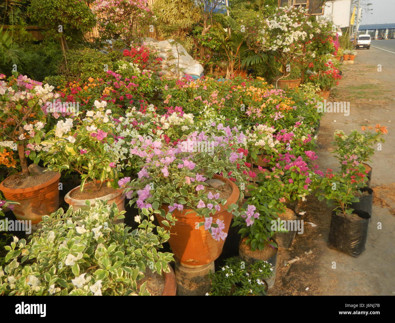 L'immagine mostra una vista panoramica dell'area di Garden City a Santa Cruz, Guiguinto, Bulacan. Questo luogo è noto per i suoi spazi verdi e le attività agricole. Foto Stock