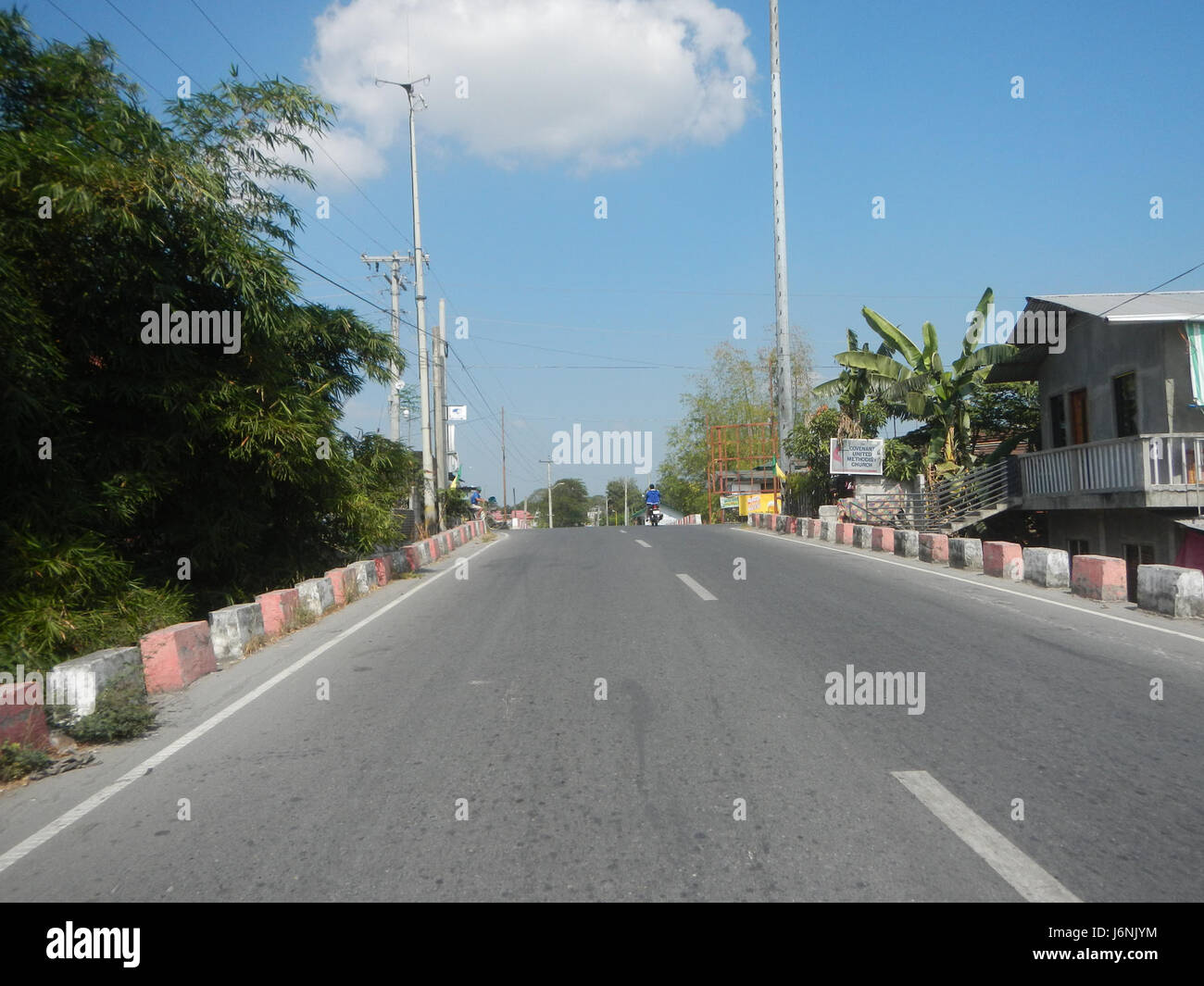 Questa immagine raffigura Ardea alba, la grande egretta, osservata a San Jose, San Simon, Pampanga, lungo High School Road. L'uccello è notevole per il suo elegante piumaggio bianco e il lungo collo, comune nelle zone umide e nelle aree con abbondanti risorse idriche. Foto Stock
