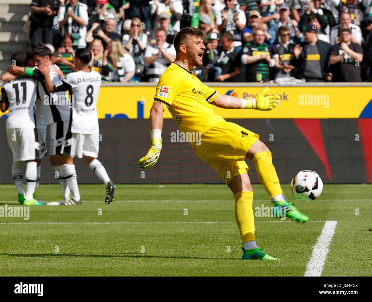 Sport, calcio, Bundesliga, 2016/2017, Borussia Moenchengladbach vs SV Darmstadt 98 2:2, Stadio Borussia Park, scena del match, 2:1 goal a Gladbach, marcatore Raffael (MG) a sinistra dietro No.11, diritto keeper Daniel Heuer Fernandes (Darmstadt) Foto Stock