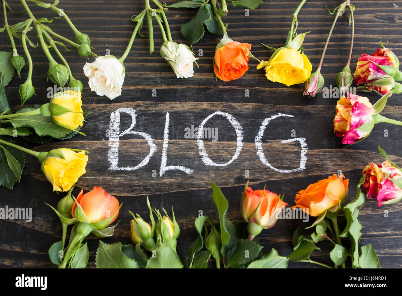 Blog di parola con rose multicolori su un rustico sfondo di legno. Foto Stock