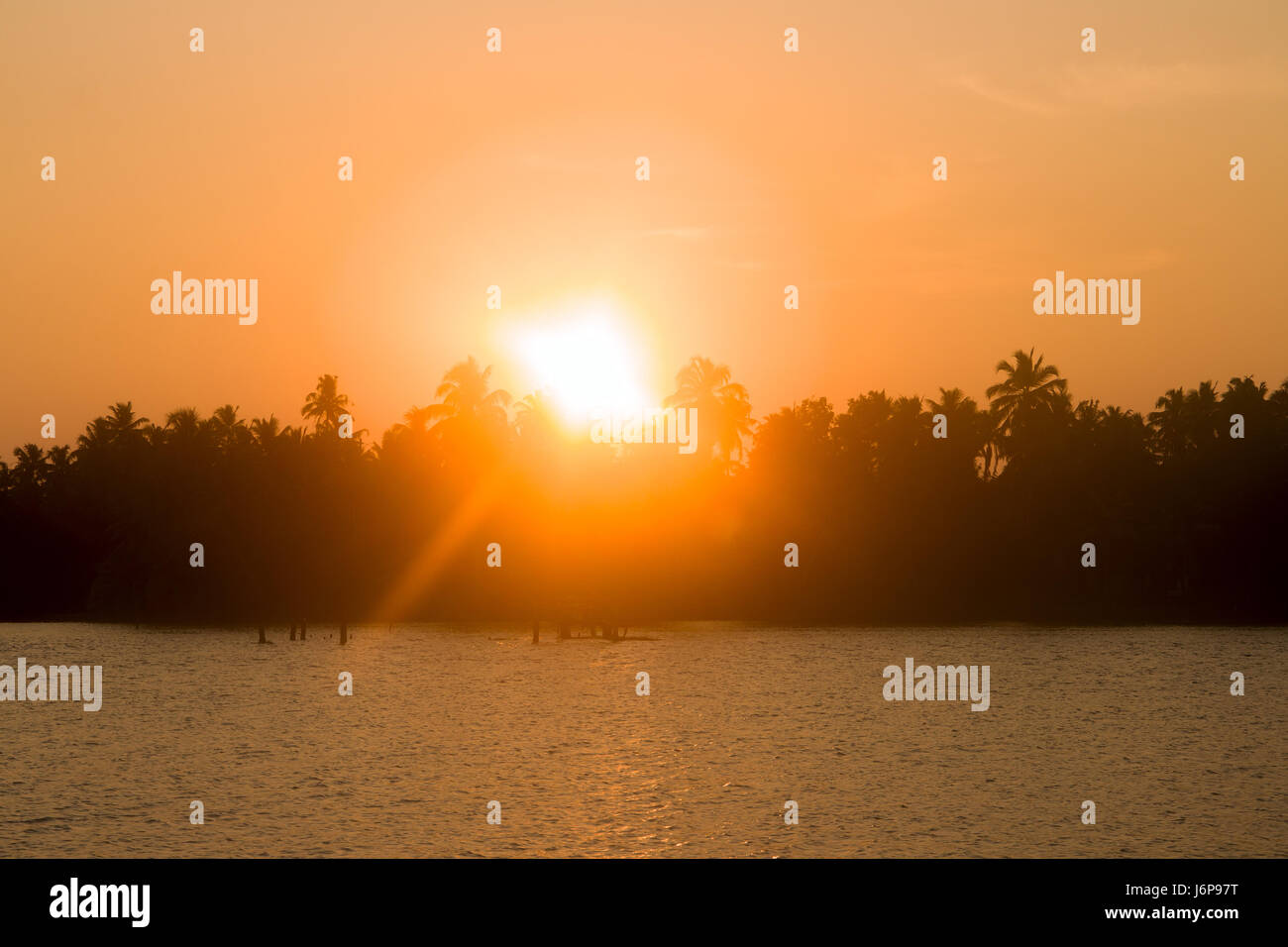 Tramonto sul fiume indiano, sun in corone di palme, uccelli in volo Foto Stock