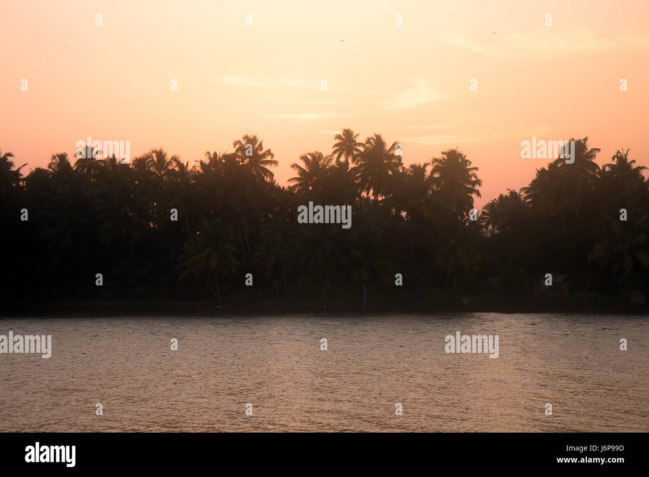 Tramonto sul fiume indiano, sun in corone di palme, uccelli in volo Foto Stock