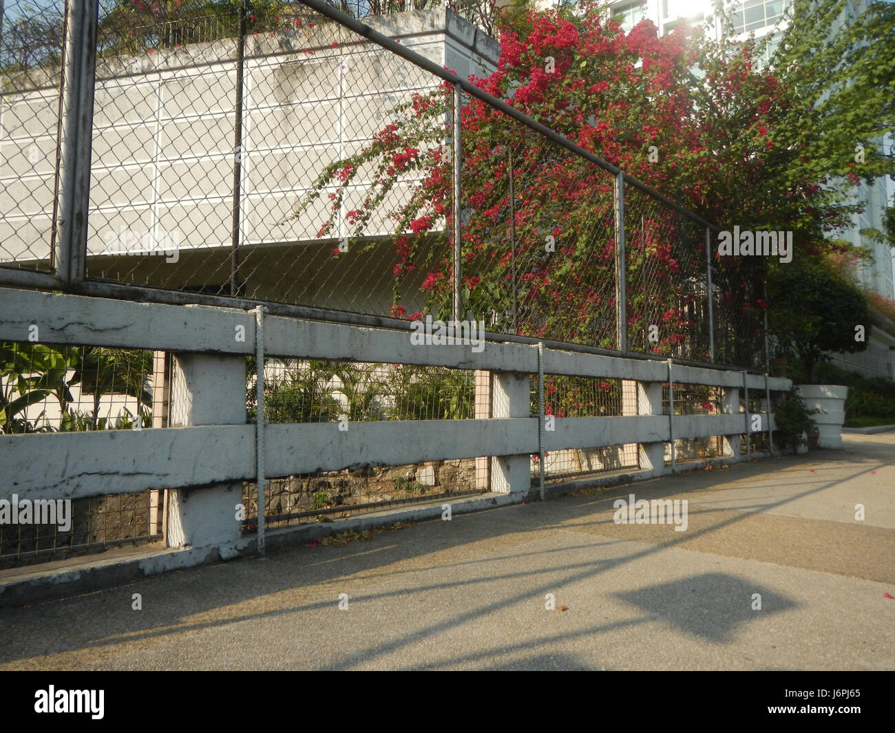 08983 Urdaneta Zuellig costruendo un triangolo Roxas Paseo de Roxas Gil Puyat Makati Avenue 03 Foto Stock