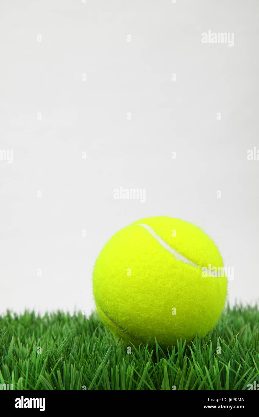 Sport Tennis palla palla da tennis dettaglio gioco tornei giocando gioca Foto Stock