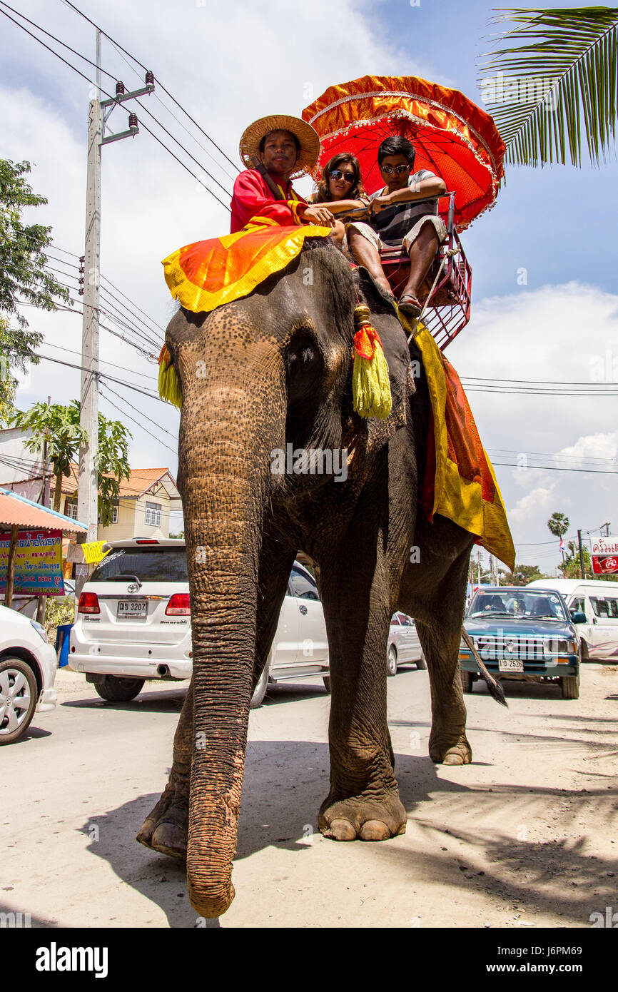 I turisti in elefante in Ayuthaya, Bangkok Foto Stock