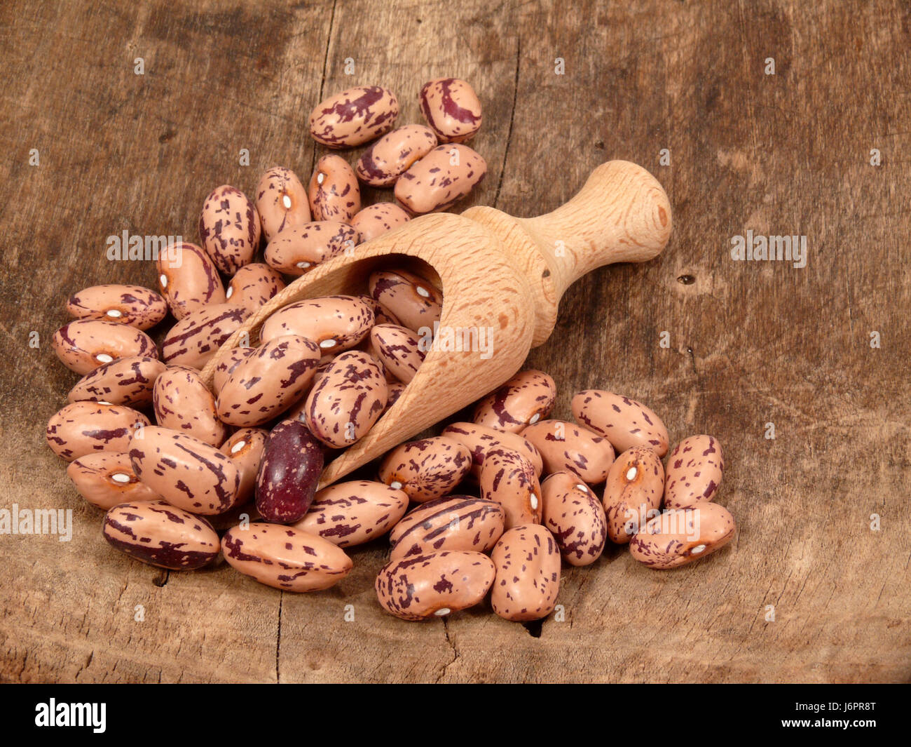 Pianta utile bushel legume pianta utile borsa di trasporto ricco in vitamine screziato Foto Stock