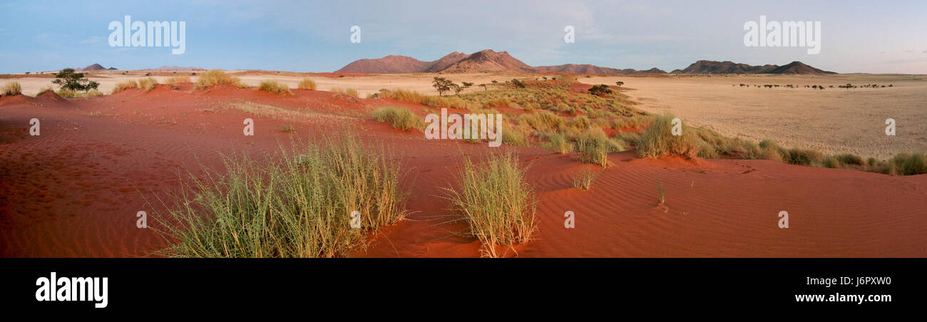 Deserto Deserto namibia vista prospettica di outlook vista panorama lookout Foto Stock