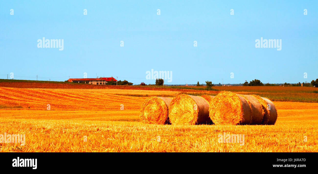 Pane terra terra humus fair agricoltura agricoltura campo summerly estate Foto Stock