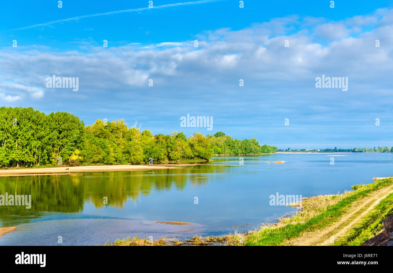 Il fiume Loira tra Angers e Saumur, Francia Foto Stock