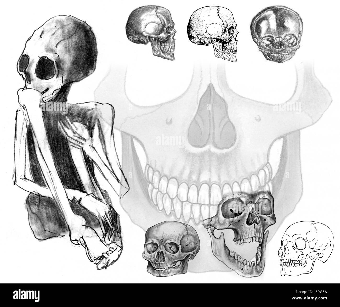 Cranio scary creepy halloween spooky sullo sfondo il disegno di sfondo cranio scary Foto Stock