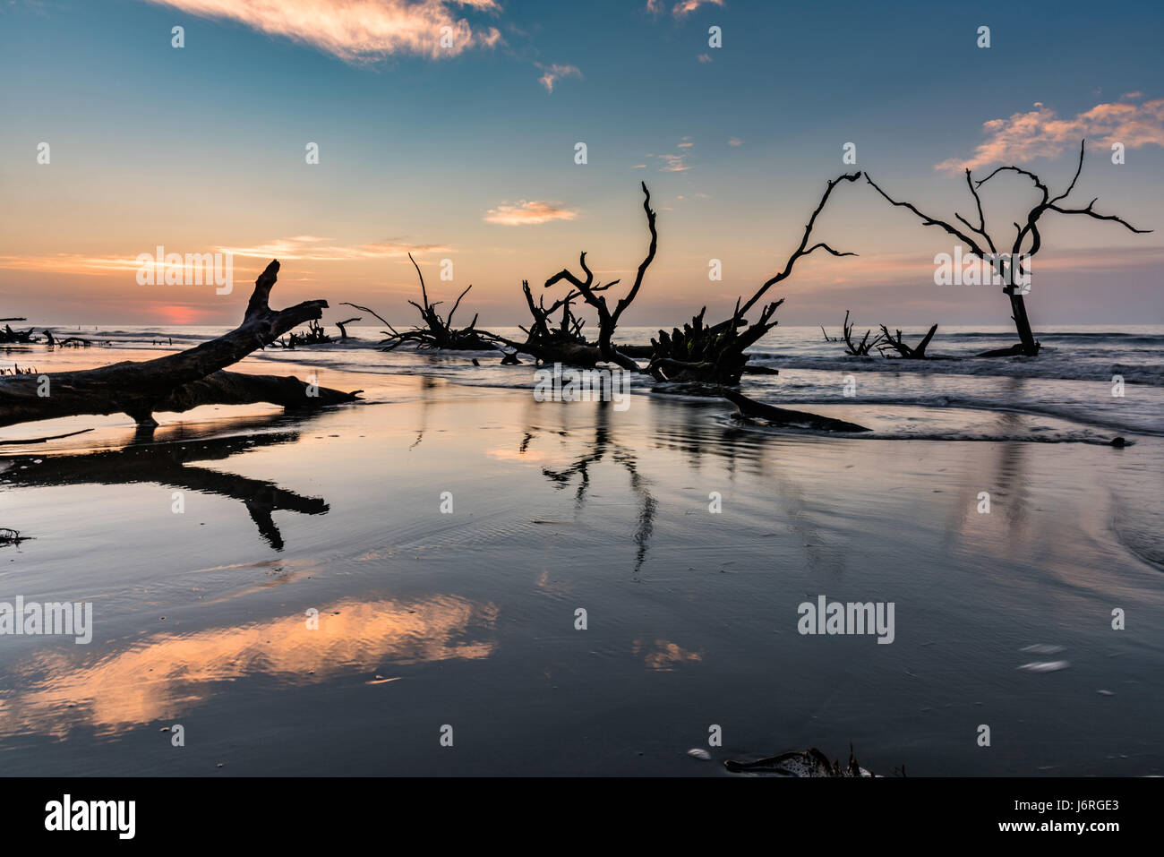 Alba sul cimitero sulla spiaggia tori isola, Carolina del Sud. I tori di isola è un disabitata isola mare 3 miglia dalla terraferma e parte del capo Romain National Wildlife Refuge. Aumento delle maree causati dal cambiamento climatico e sabbia in movimento ha eroso la spiaggia la cordatura parte della foresta costiera in acqua di mare. Foto Stock