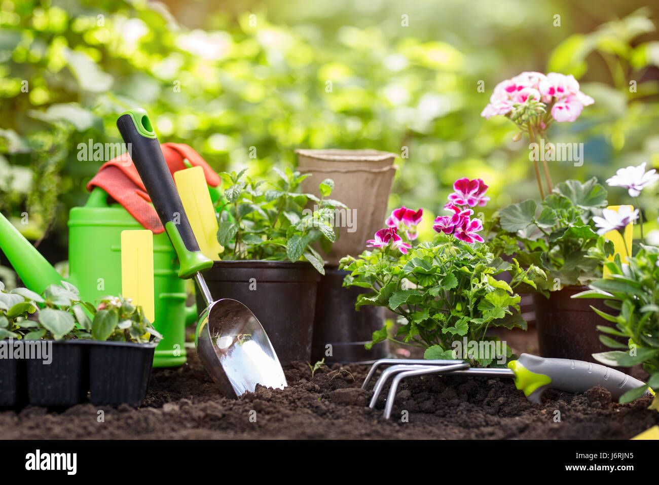 Utensili da giardinaggio e fiori in vaso per la semina in cortile Foto Stock