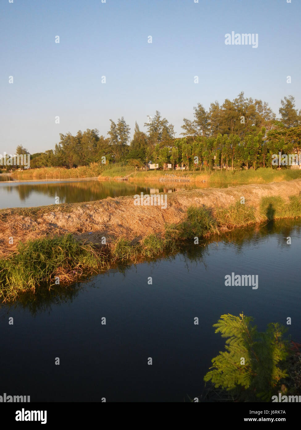 Questa immagine raffigura gli stagni di pesci situati lungo il San Nicolas Poblacion Boulevard a Minalin, Pampanga. L'allevamento ittico è un'attività economica significativa nella zona, che contribuisce all'agricoltura locale e alla produzione alimentare. Foto Stock