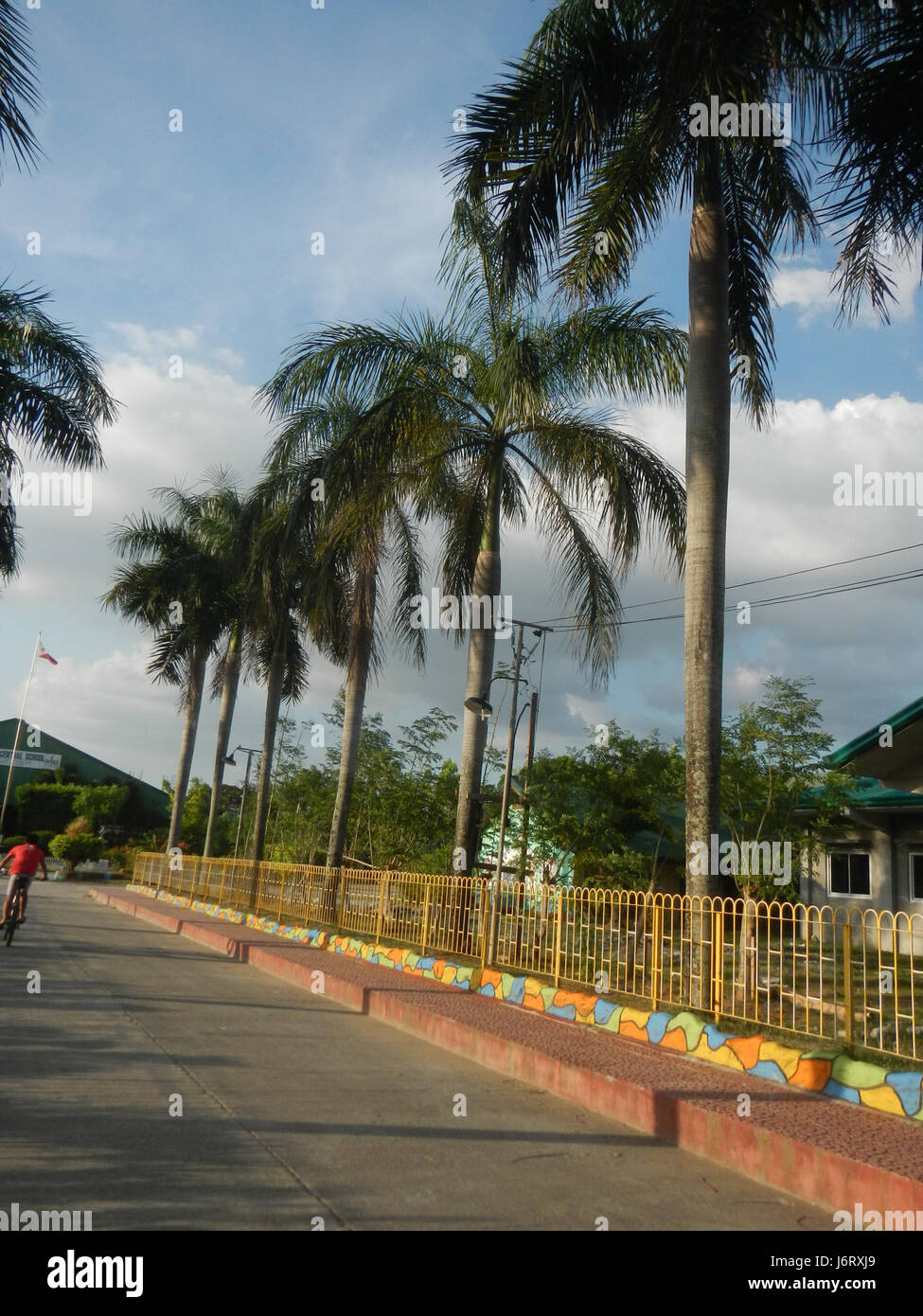 Questo titolo fa riferimento alla Pulilan Central School a Bulacan, nelle Filippine, e menziona una palma da champagne, che è probabilmente una specie di palma trovata nella zona. Mette in evidenza la posizione e l'ambiente della scuola. Foto Stock