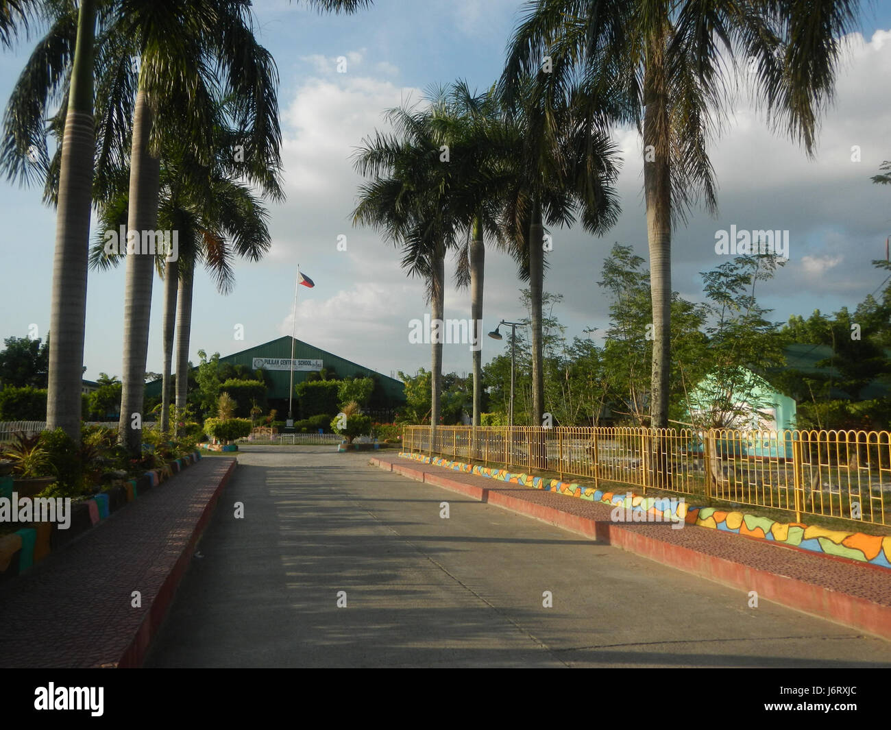 08163 Pulilan Scuola centrale Champagne palm 05 Foto Stock