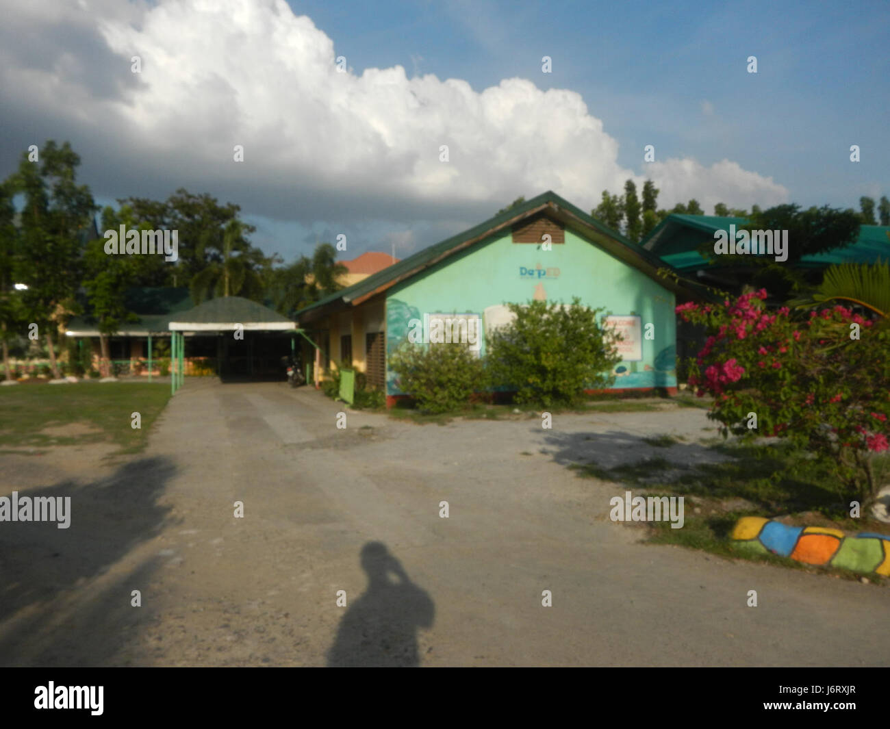 08163 Pulilan Scuola centrale Champagne palm 14 Foto Stock