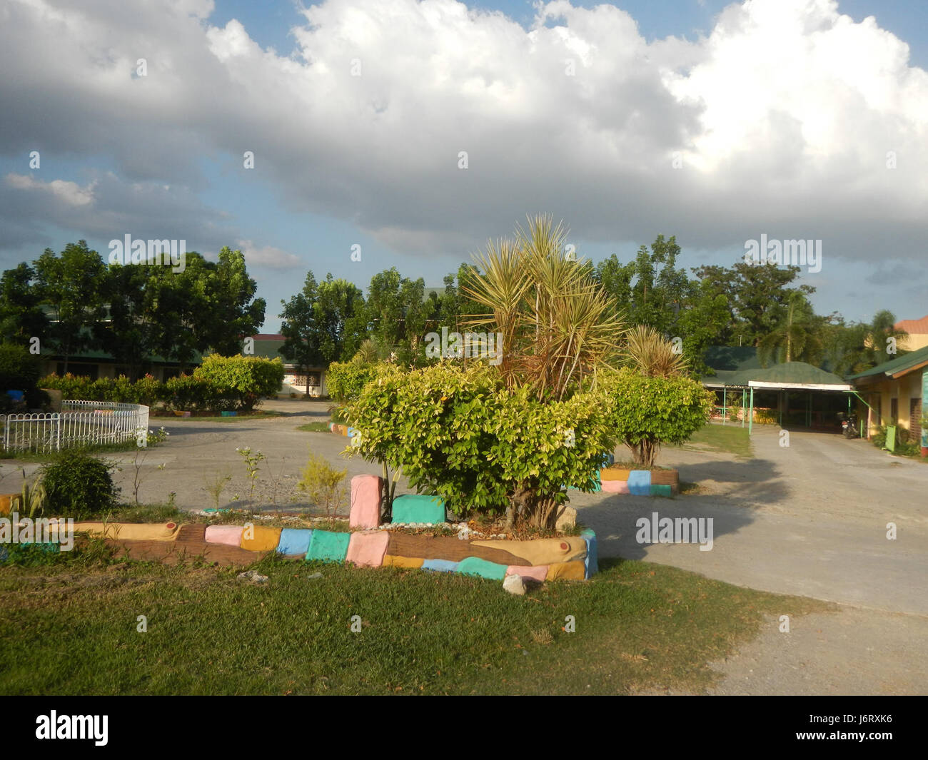 08163 Pulilan Scuola centrale Champagne palm 18 Foto Stock