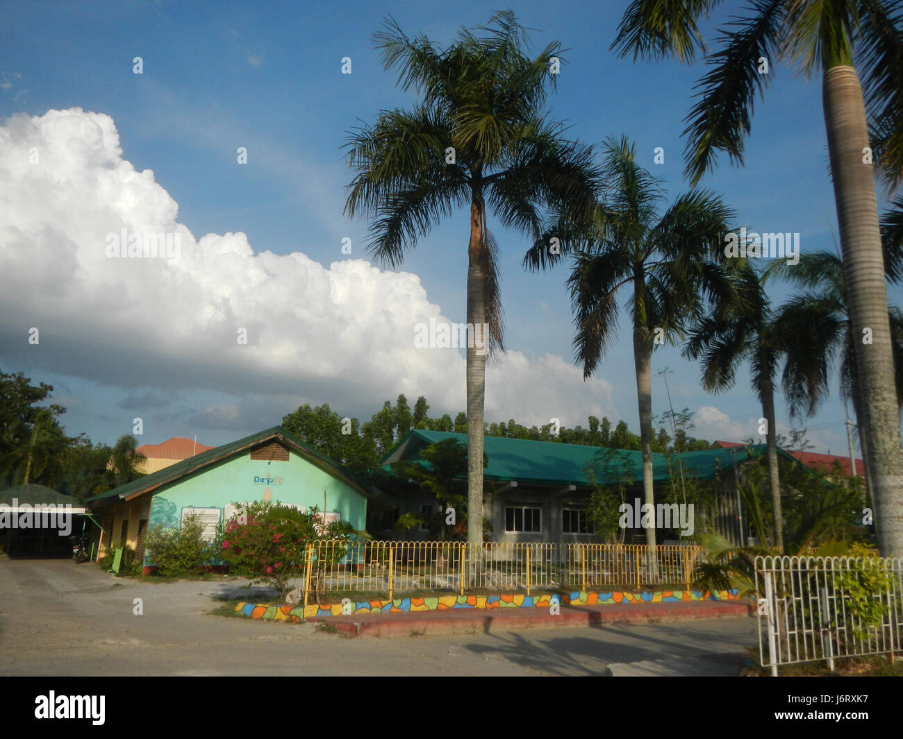 08163 Pulilan Scuola centrale Champagne palm 19 Foto Stock