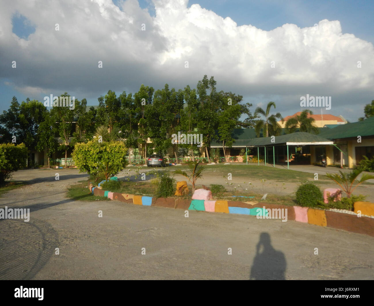 Pulilan Central School si trova a Pulilan, Bulacan, Filippine. La palma Champagne, nota per il suo valore ornamentale, è una caratteristica prominente dei terreni della scuola. Questa specie di palme è riconosciuta per il suo aspetto unico e la natura tropicale, che migliora l'ambiente della scuola. Foto Stock