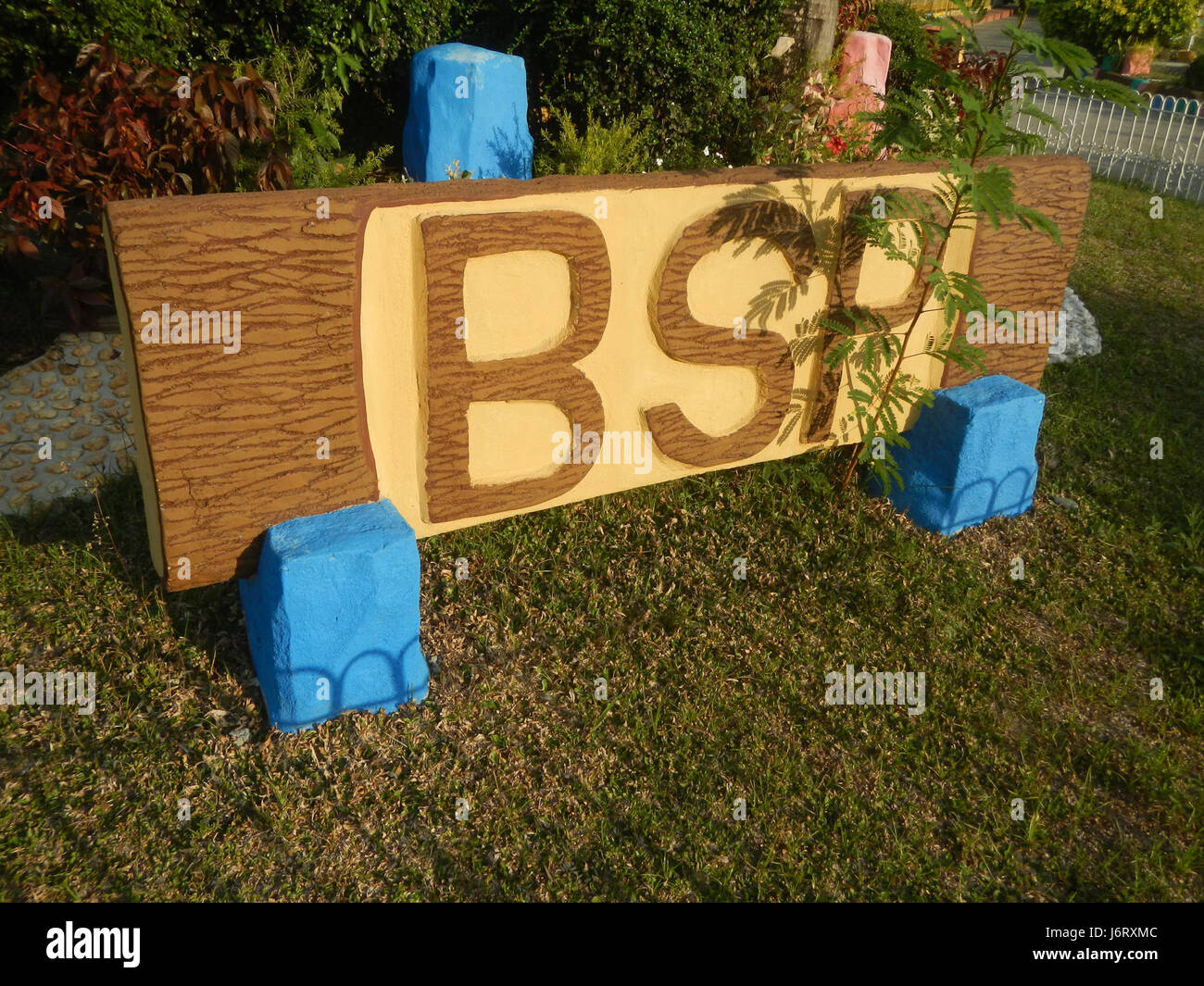 08163 Pulilan Scuola centrale Champagne palm 45 Foto Stock