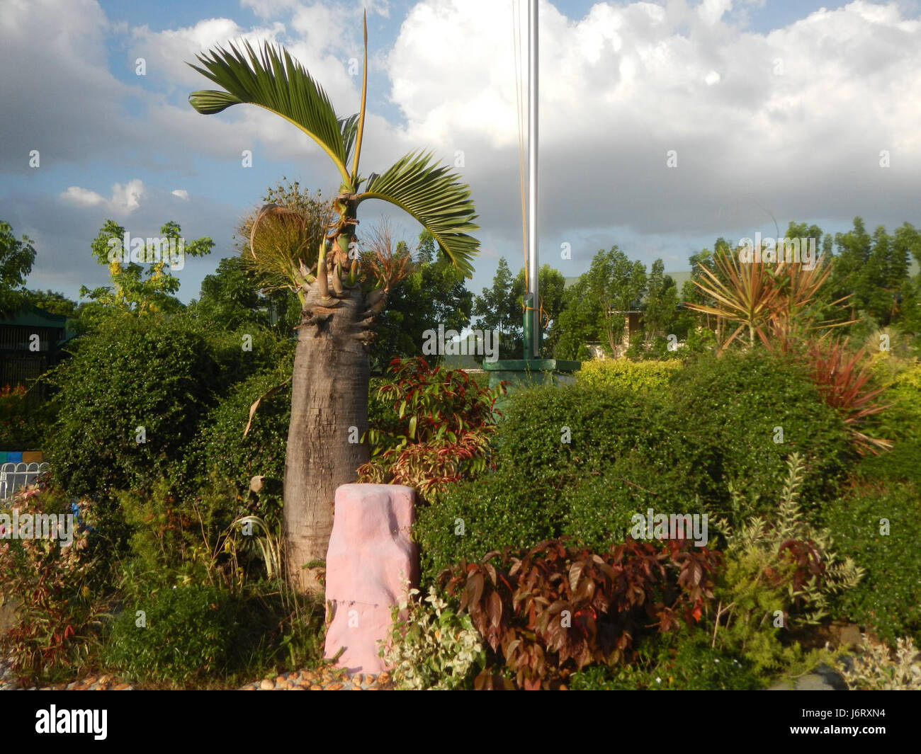 08212 Pulilan Scuola centrale Champagne Palm River Punti di Riferimento 01 Foto Stock