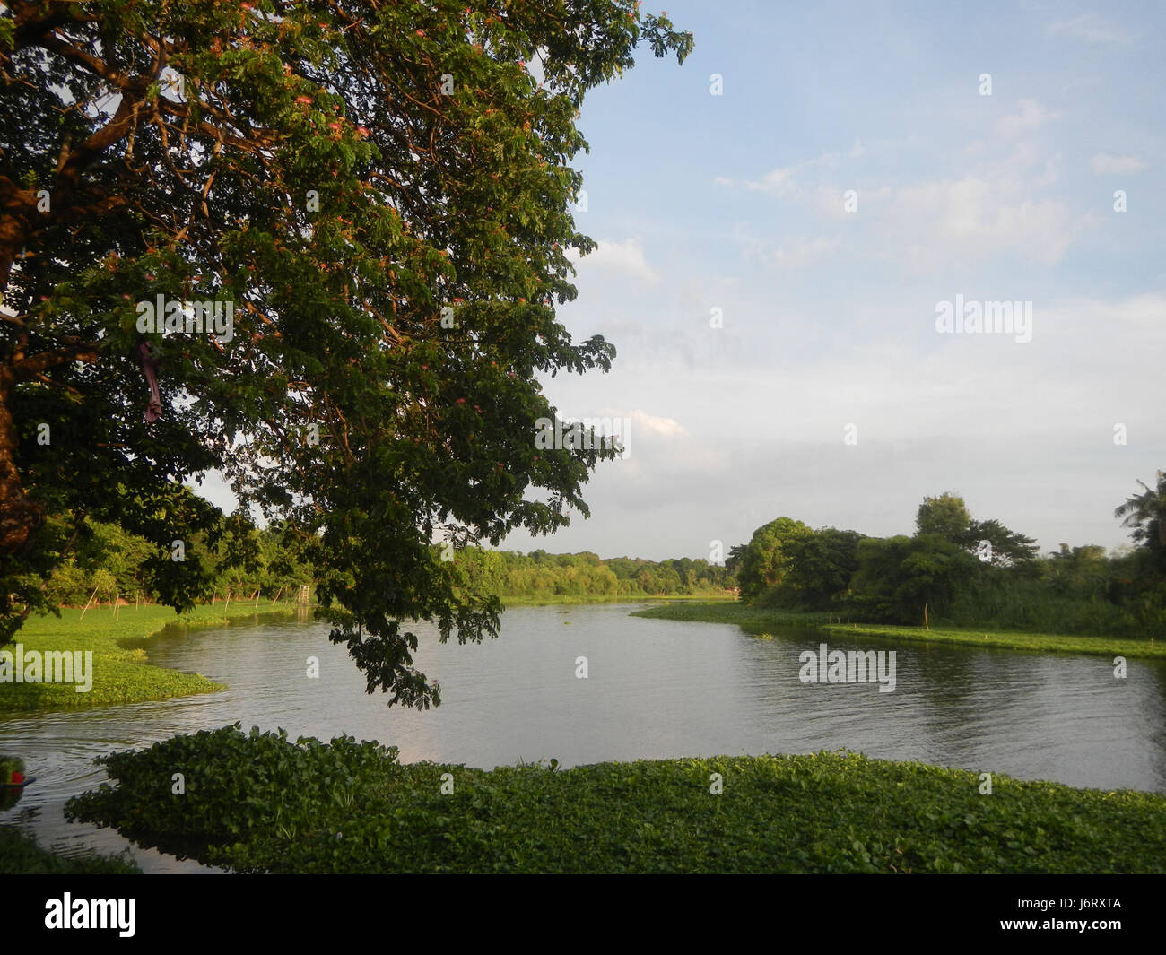 08212 Pulilan Scuola centrale Champagne Palm River Punti di Riferimento 38 Foto Stock