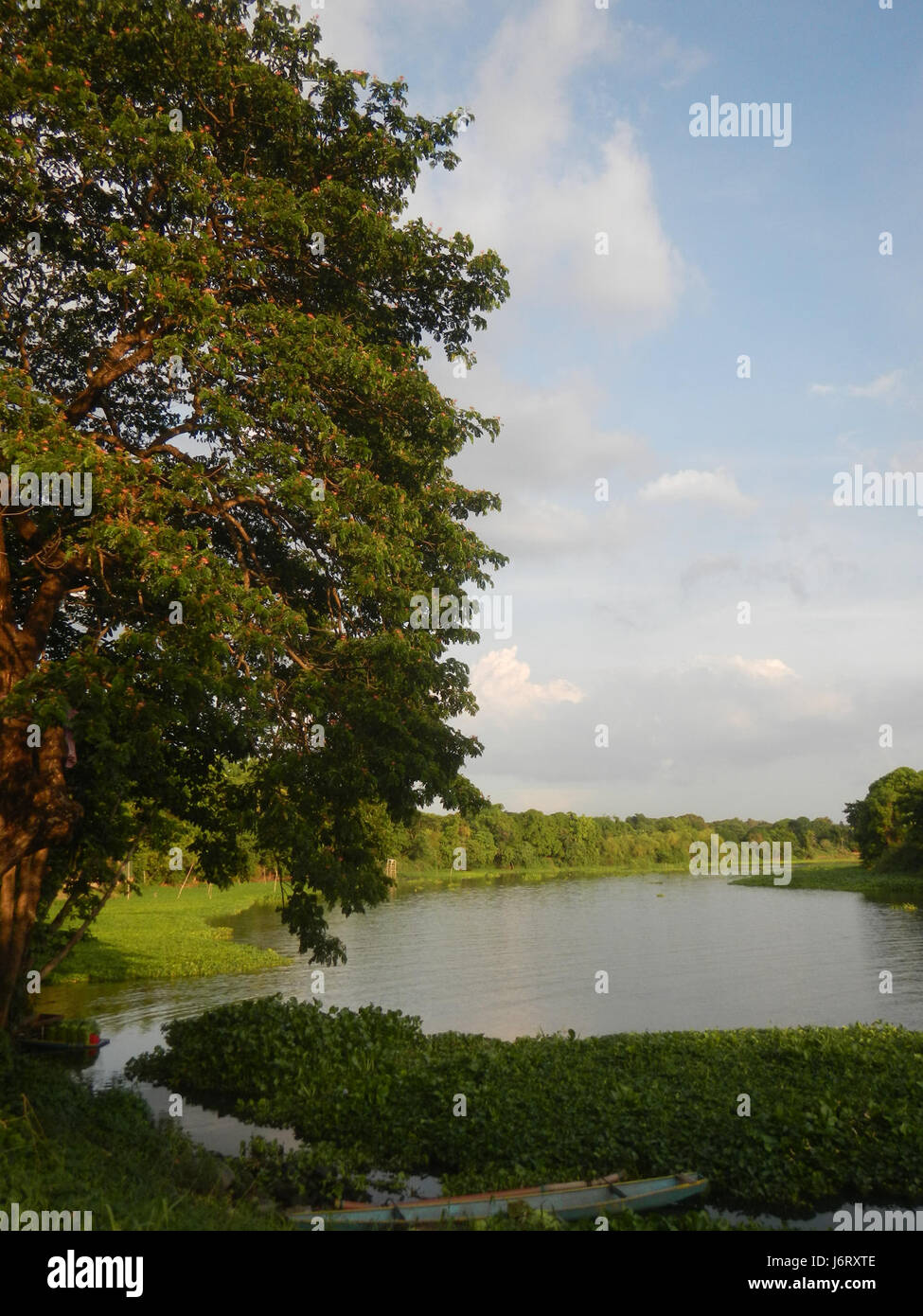 Questa immagine raffigura i luoghi di interesse vicino alla Pulilan Central School, tra cui le palme da champagne e le rive del fiume, evidenziando l'ambiente naturale e i monumenti regionali di Bulacan. Foto Stock