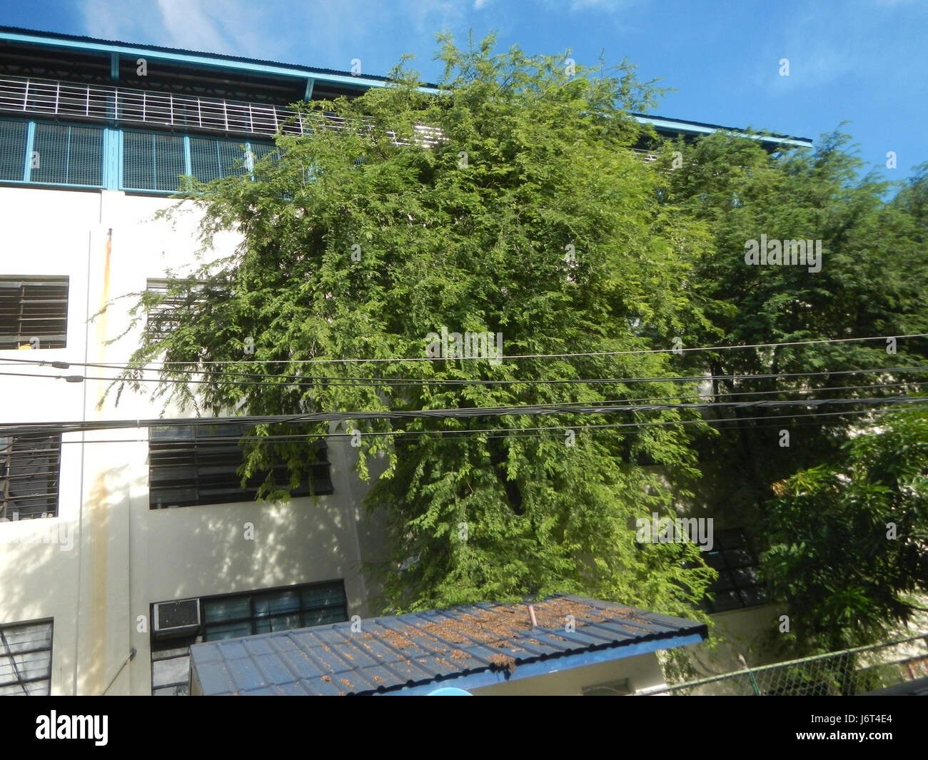 La Barangay Santa Elena High School, situata in Shoe Avenue a Marikina City, è un'importante istituzione educativa che offre servizi di apprendimento di qualità agli studenti locali. Foto Stock