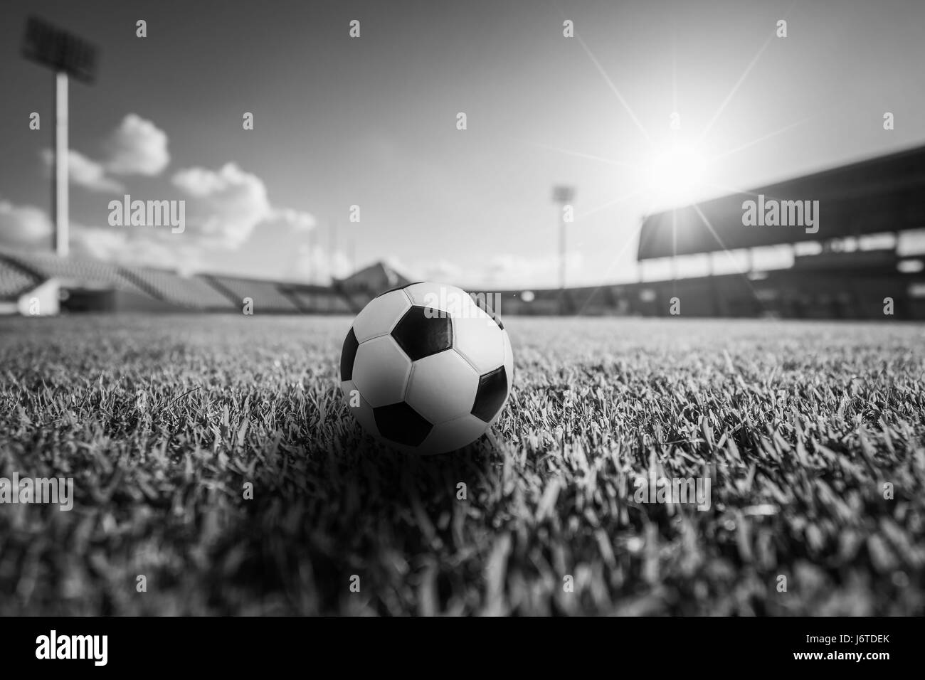 Pallone da calcio in erba in stadio di calcio pallone da calcio concetto dello sfondo. Foto Stock