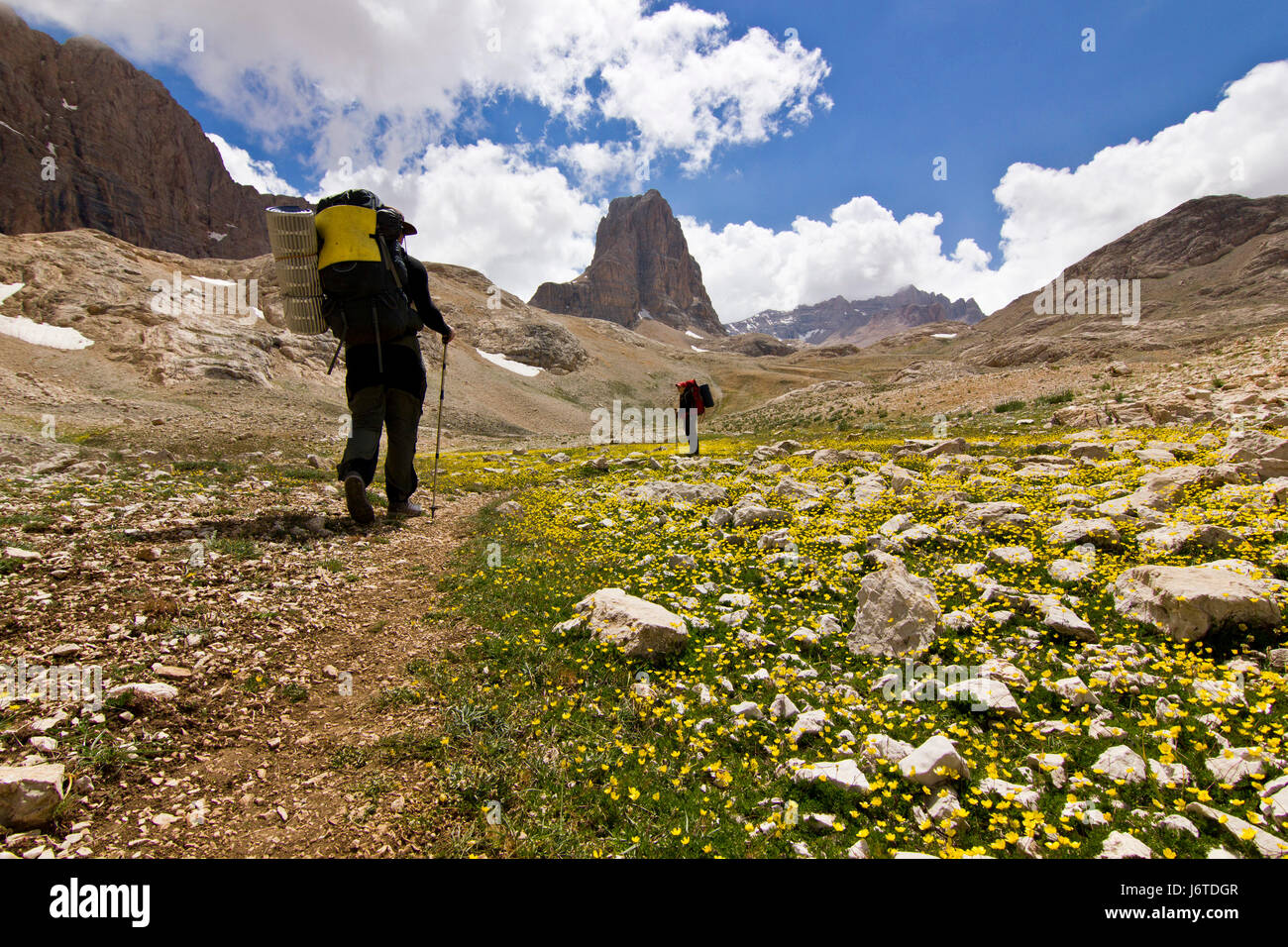 Escursionista sul campo verde con il big rock in Turchia montagne Foto Stock