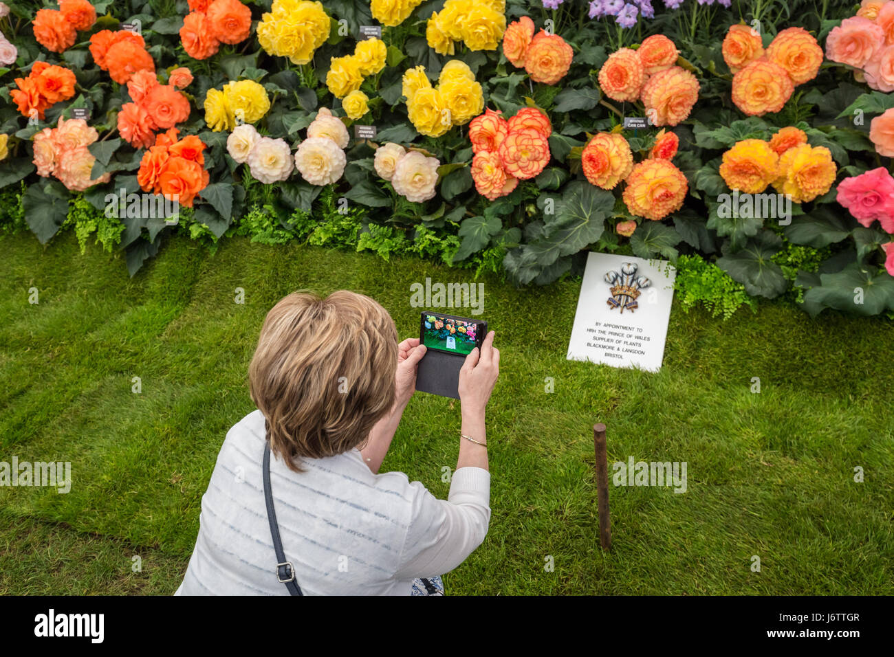 Londra, Regno Unito. 22 Maggio, 2017. RHS Chelsea Flower Show © Guy Corbishley/Alamy Live News Foto Stock