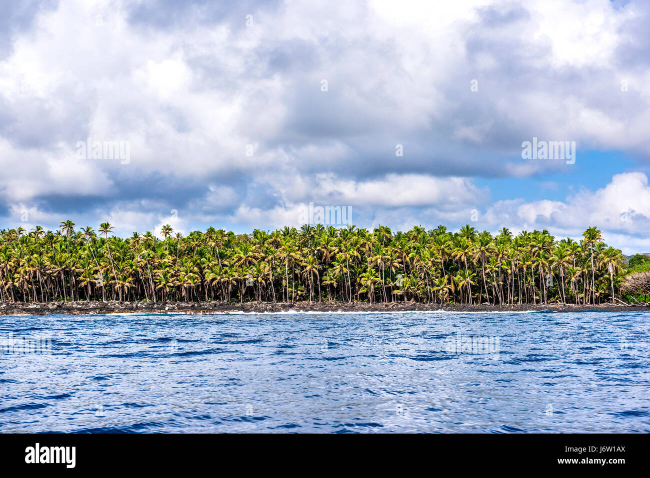 Alberi di palma tropicali linea il litorale della Big Island delle Hawaii durante un vivace e luminosa giornata a colori. Foto Stock