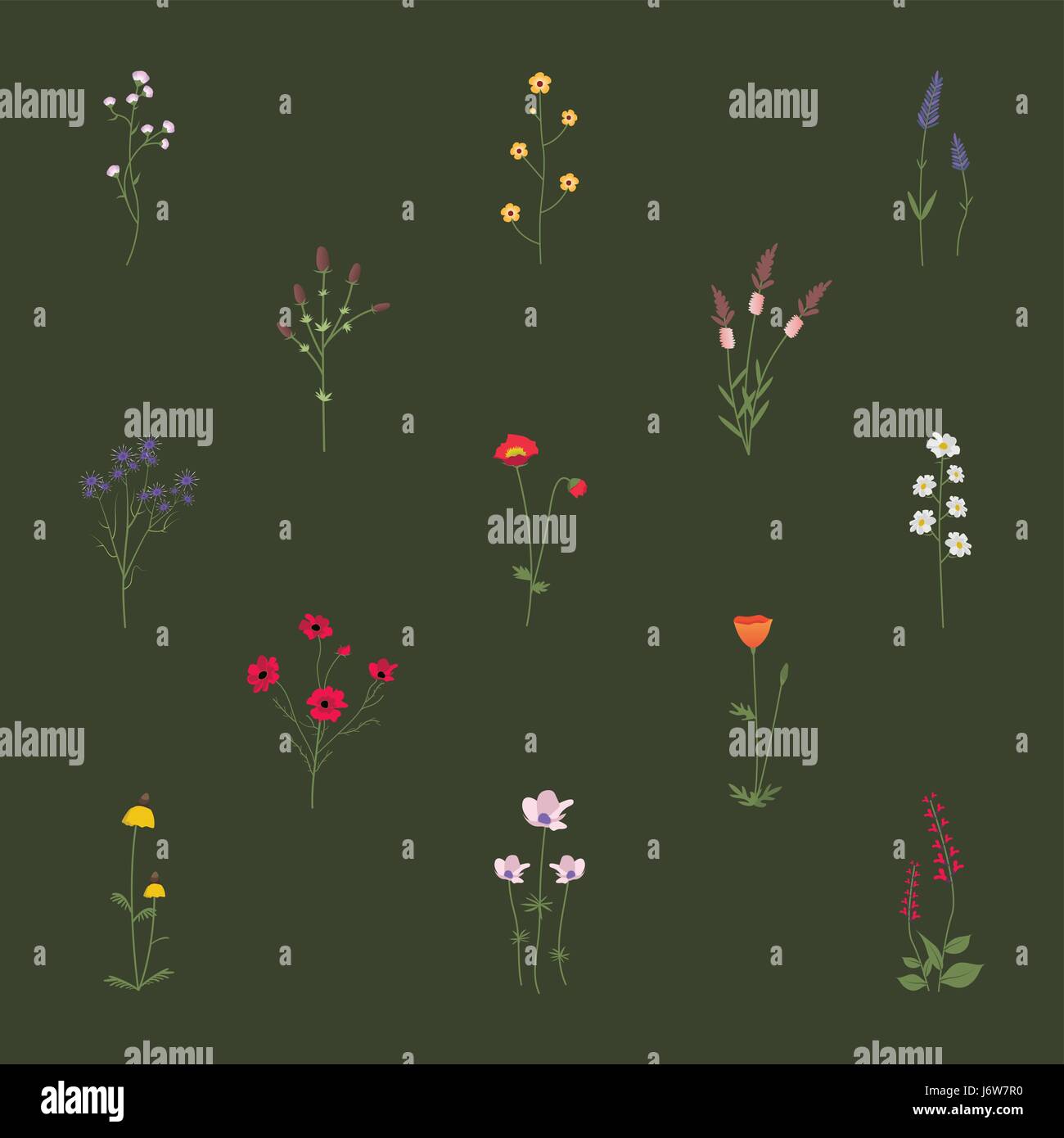 Impostare la raccolta di fiori selvatici illustrazione vettoriale Illustrazione Vettoriale