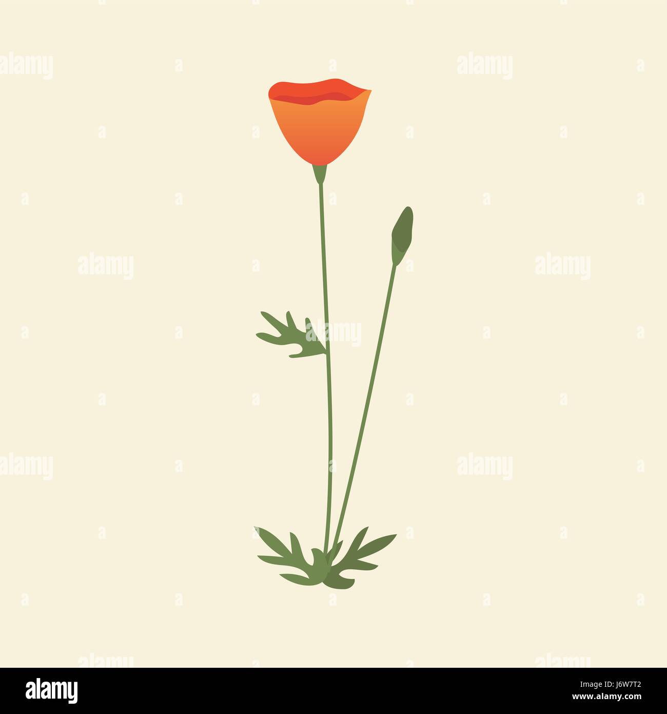 Rosso di fiori selvatici illustrazione vettoriale Illustrazione Vettoriale