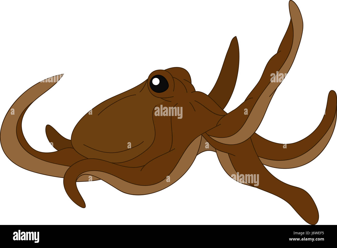 Illustrazione disegnare octopus cartoon arte grafica isolato animale pesce selvatico Foto Stock