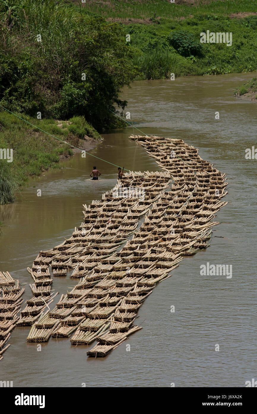 Bambù sono legate insieme come le zattere sono flottanti in allontanamento al mercato con la corrente del fiume Kachalang. Rangamati, Bangladesh. Foto Stock