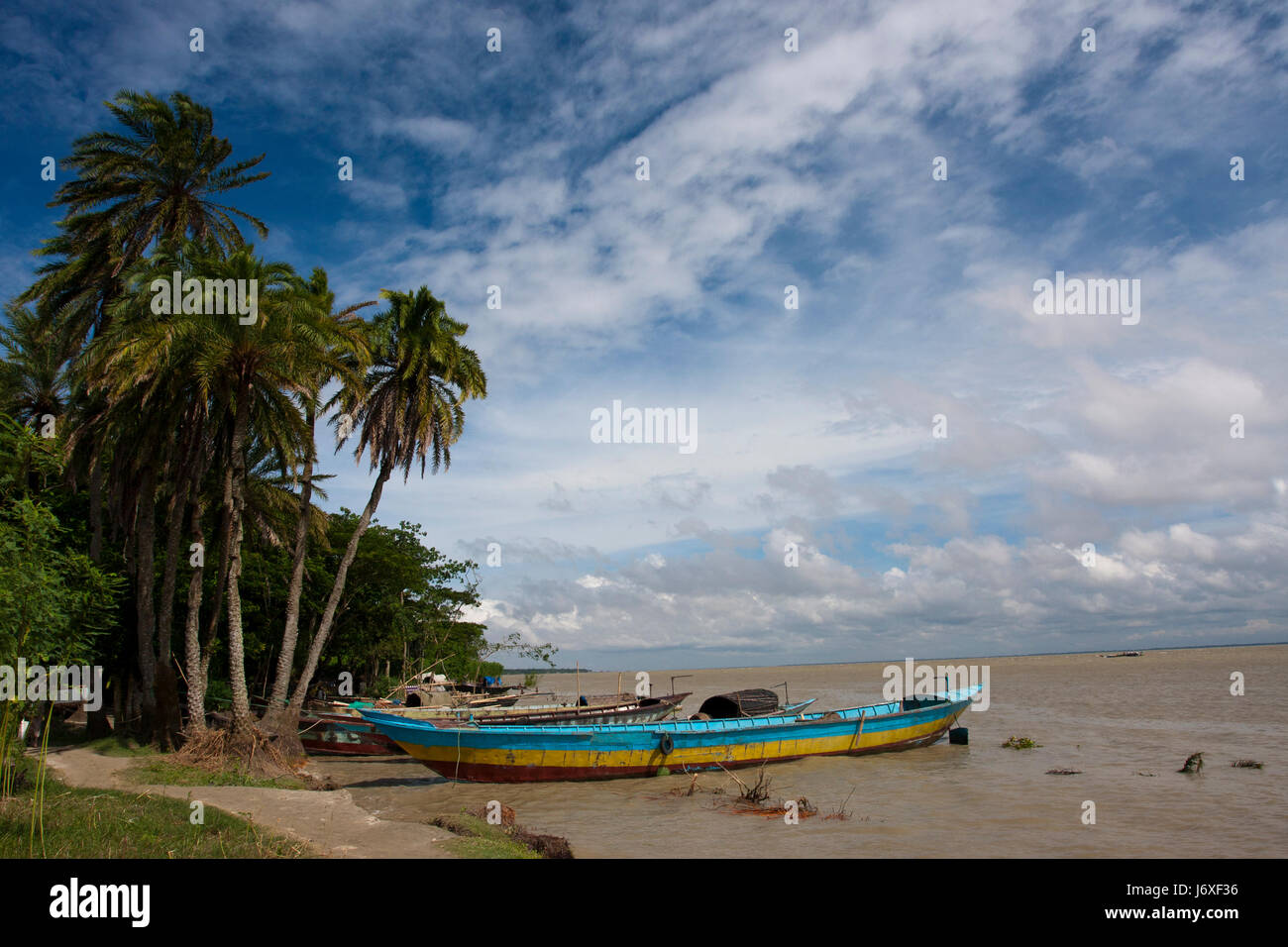 Riverbank danni dovuti a fenomeni di erosione del fiume dalla Padma fiume. Munshiganj, Bangladesh. Foto Stock