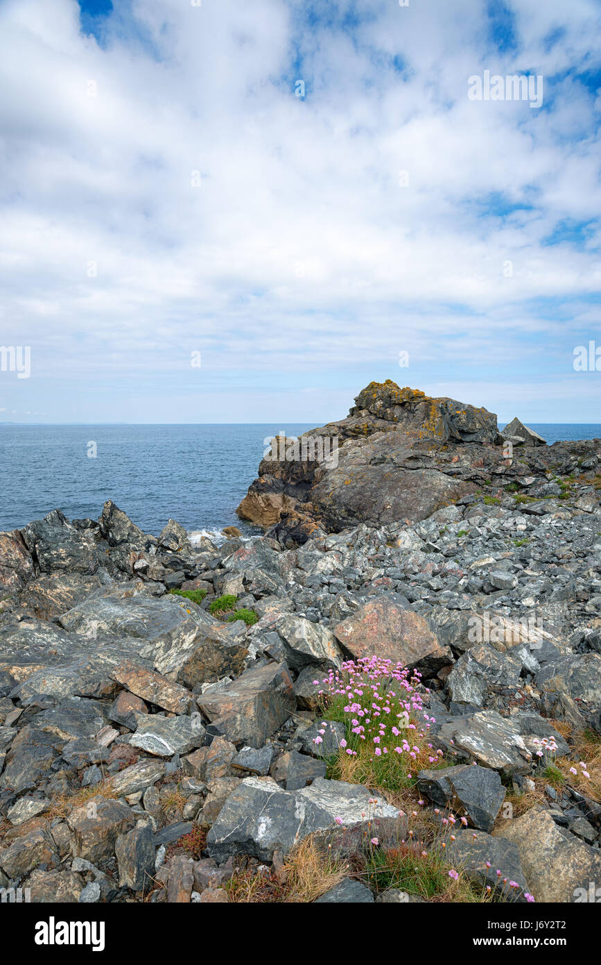 Costa rocciosa di Porthkerris Cove sulla costa della Cornovaglia Foto Stock