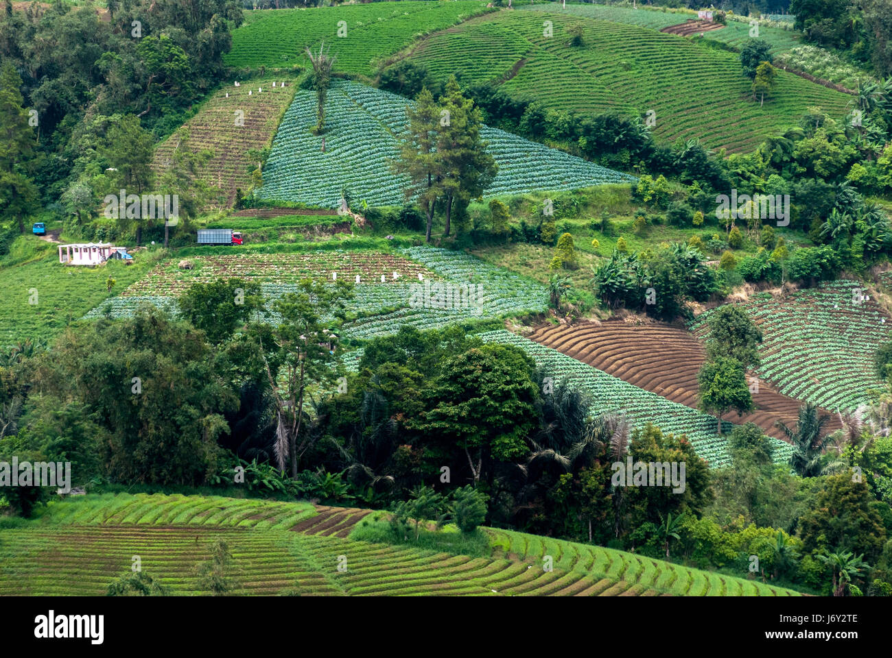 Il terreno agricolo è visto da un punto di osservazione nel villaggio di Rurukan, Tomohon orientale, Tomohon, Sulawesi settentrionale, Indonesia. Foto Stock